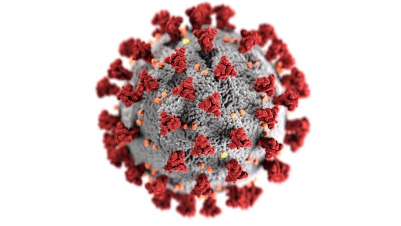 Nova variante da Mpox acende alerta para vigilância genômica em 2026
