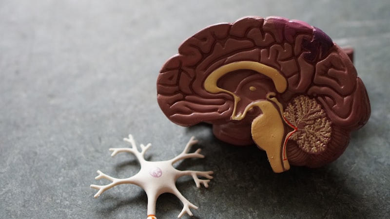 Coração em alerta: Infartos em jovens crescem no Brasil e podem estar associados a doenças genéticas não diagnosticadas